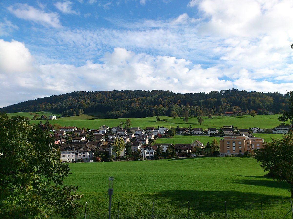 Wohnquartier in Ebikon vor dem bewaldeten Hügel