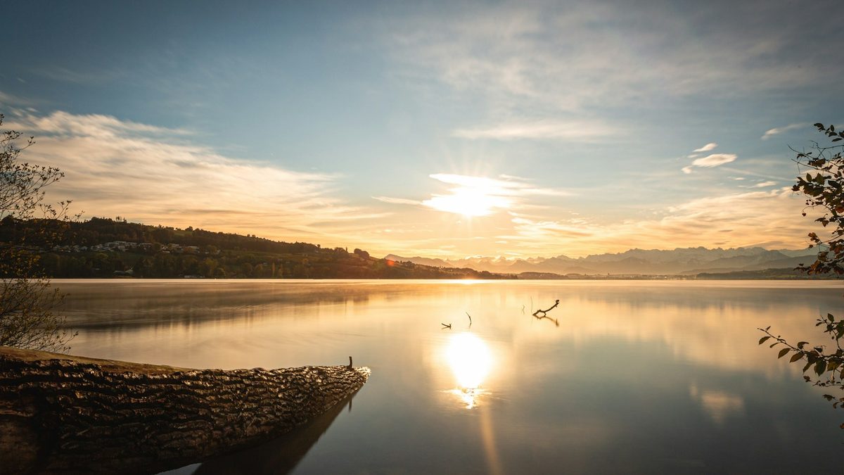 Sonnenaufgang über dem Sempachersee vom Ufer bei Sursee, am Horizont die Alpen
